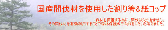 YԔގgp蔢Rbv